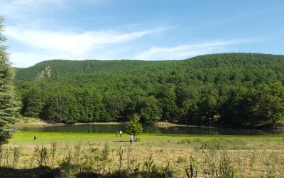 Lac_noir-Adekar-Parc_Akfadou