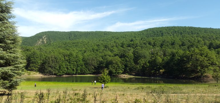 Lac_noir-Adekar-Parc_Akfadou