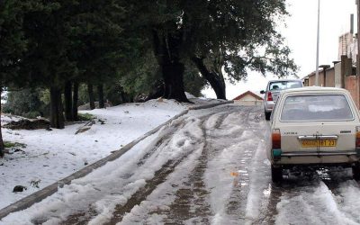 NeigeAlg